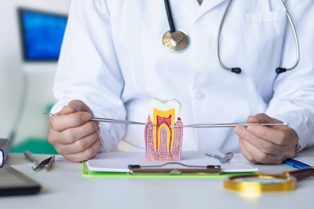 Best Broken or Cracked Tooth Emergency Dentist in Corpus Christi, TX